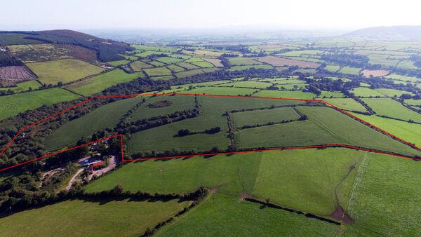 North Cork 79-acre tillage holding expecting €12k an acre