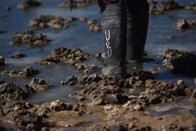A person standing in boggy ground in gumboots with Uru painted on them